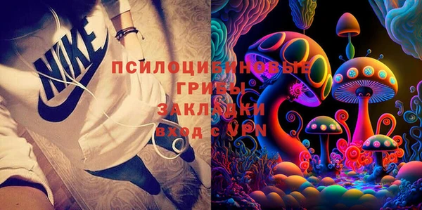 ГАЛЛЮЦИНОГЕННЫЕ ГРИБЫ Белоозёрский