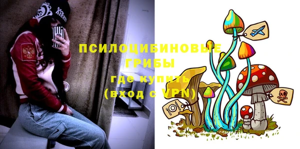 ГАЛЛЮЦИНОГЕННЫЕ ГРИБЫ Белоозёрский