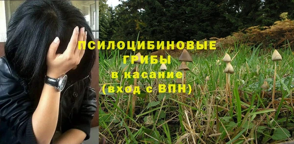 ГАЛЛЮЦИНОГЕННЫЕ ГРИБЫ Белоозёрский